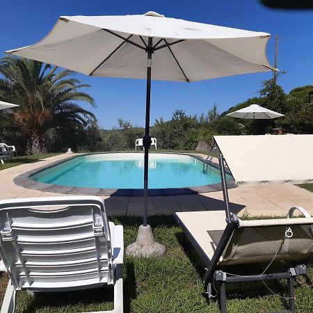 Agriturismo Poggio Al Tesoro Crespina Εξωτερικό φωτογραφία