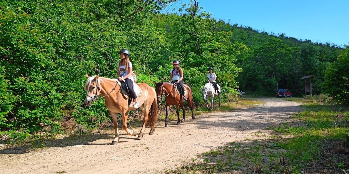 Agriturismo Poggio Al Tesoro Crespina Εξωτερικό φωτογραφία