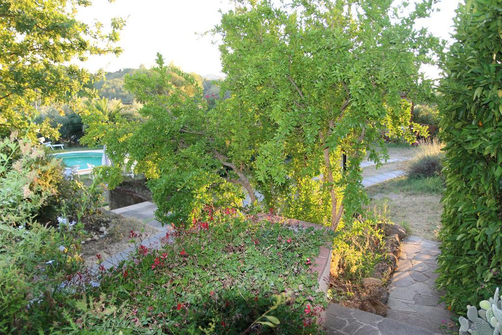 Agriturismo Poggio Al Tesoro Crespina Εξωτερικό φωτογραφία