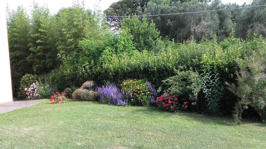 Agriturismo Poggio Al Tesoro Crespina Εξωτερικό φωτογραφία