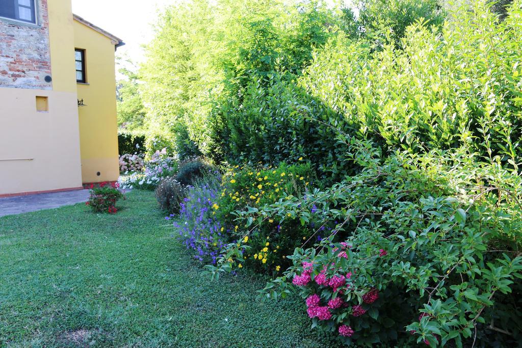 Agriturismo Poggio Al Tesoro Crespina Εξωτερικό φωτογραφία
